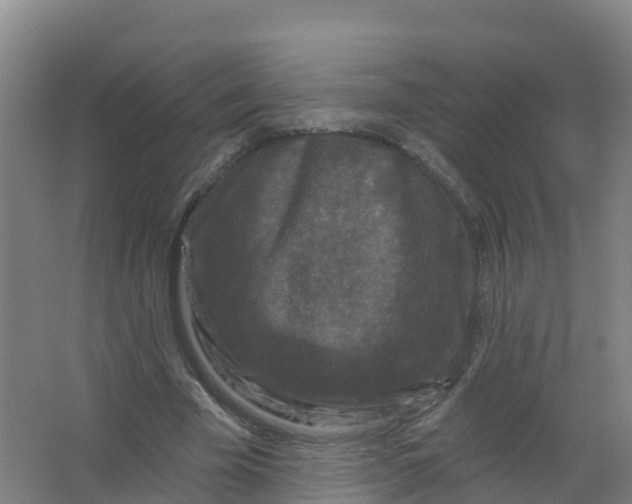 X0000066930585200604142000