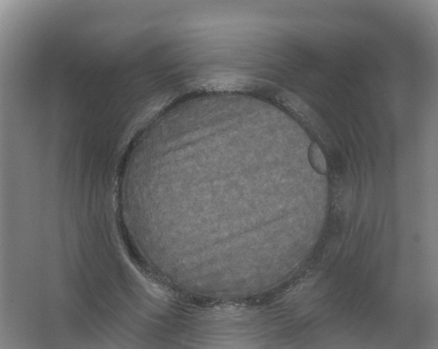 X0000066930586200604142000