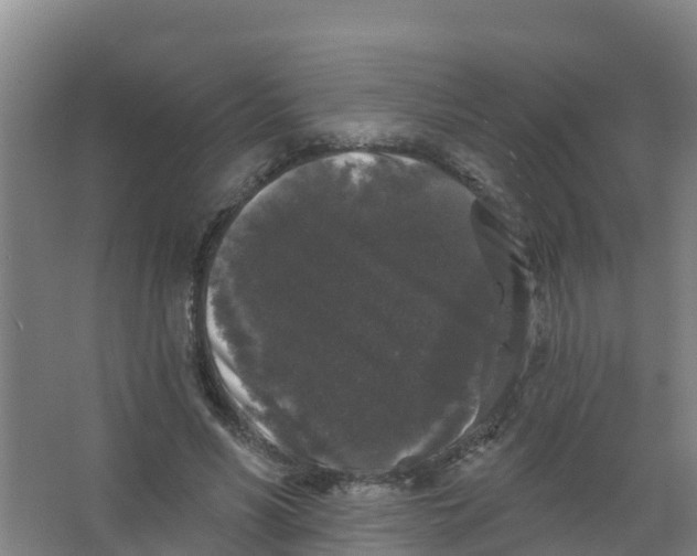 X0000066930590200604142000