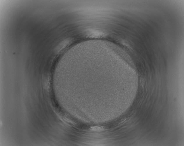 X0000066930591200604142000