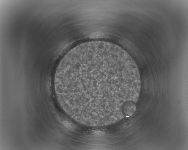 X0000066930592200604142000