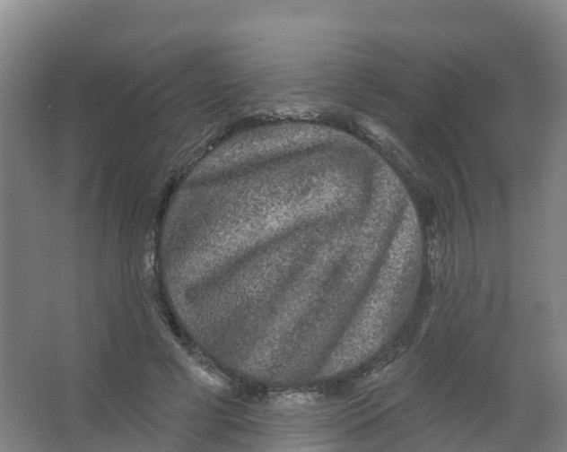 X0000066930593200604142000