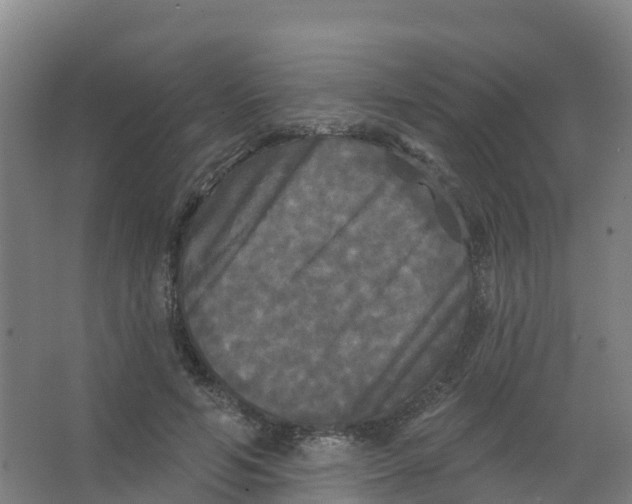 X0000066930594200604142000