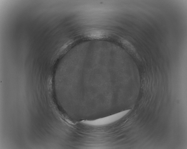 X0000066930596200604142000