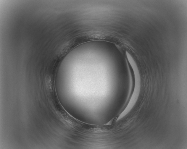 X0000066930597200604142000