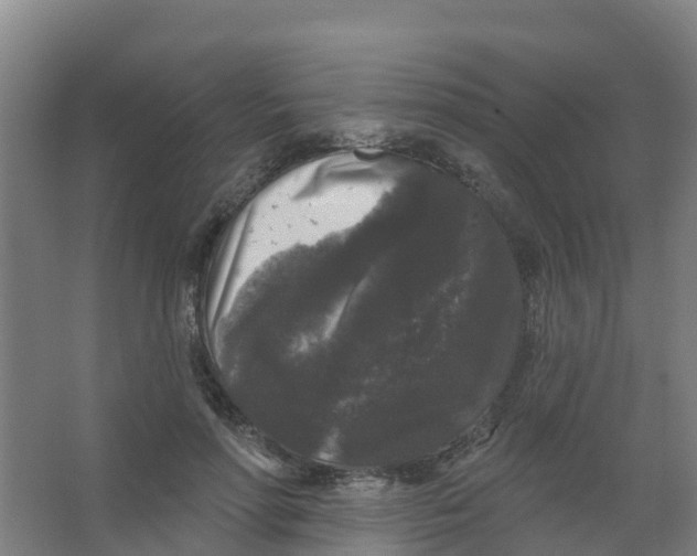 X0000066930598200604142000