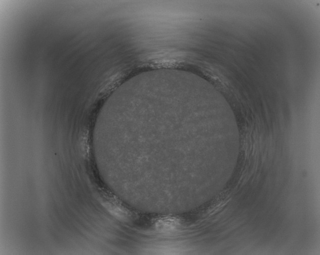 X0000066930599200604142000