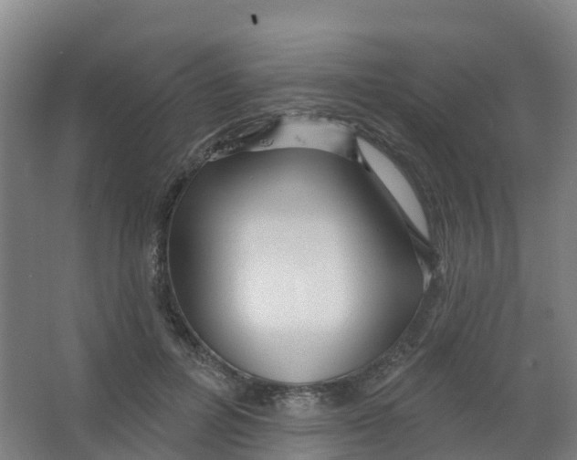 X0000066930600200604142000