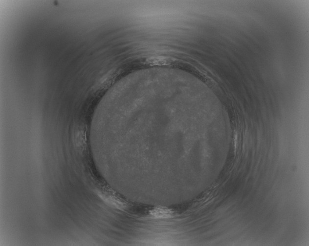 X0000066930603200604142000