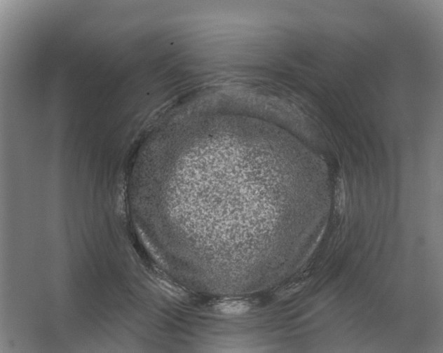 X0000066930604200604142000