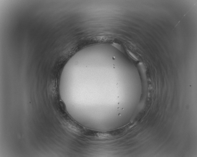 X0000066930605200604141959