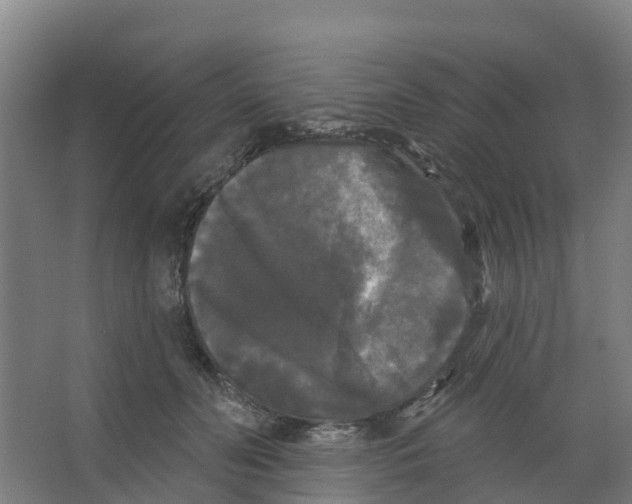 X0000066930606200604141959