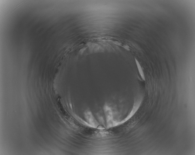 X0000066930607200604141959