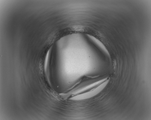 X0000066930609200604141959