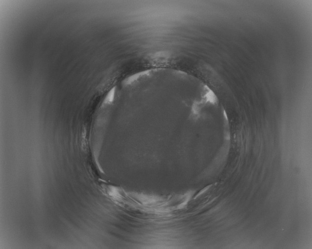 X0000066930610200604141959