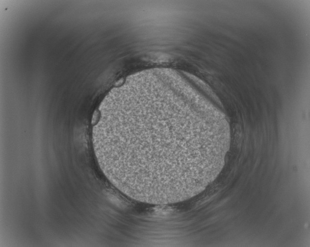 X0000066930612200604141959