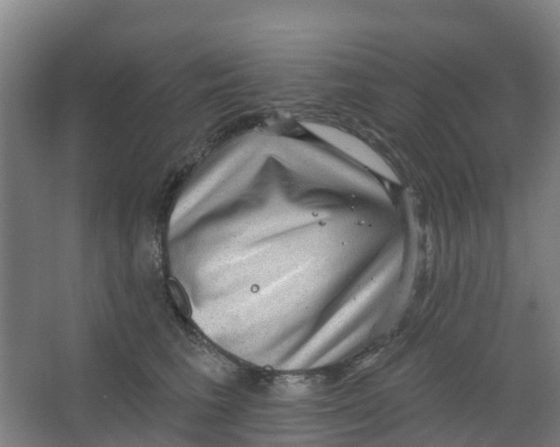 X0000066930613200604141959