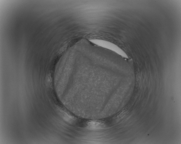 X0000066930614200604141959