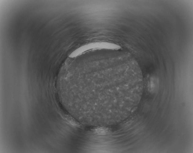 X0000066930615200604141959