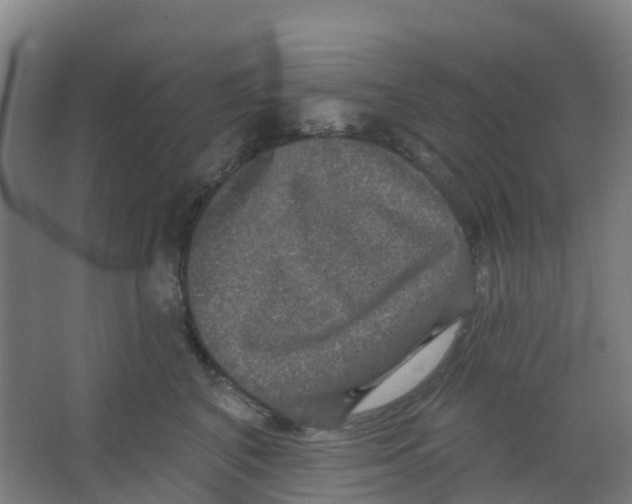 X0000066930616200604141959