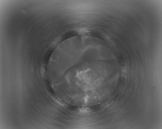 X0000066930618200604141959