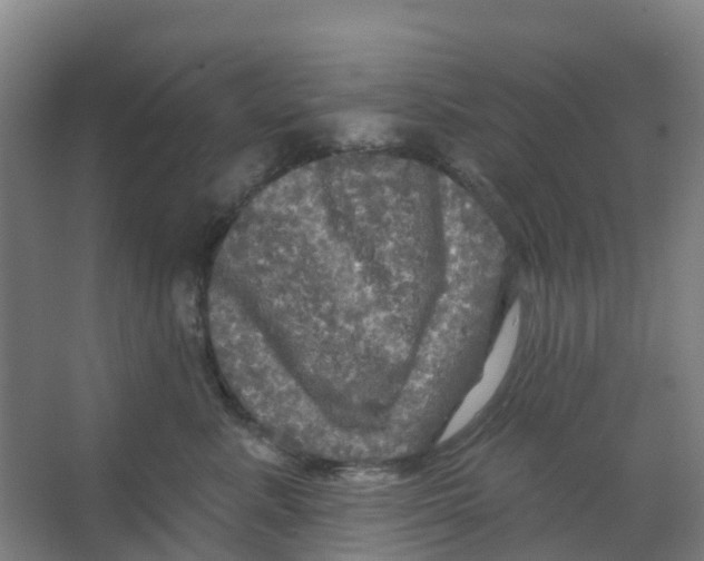 X0000066930619200604141959