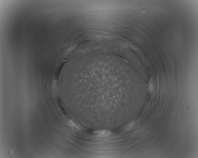 X0000066930621200604141959