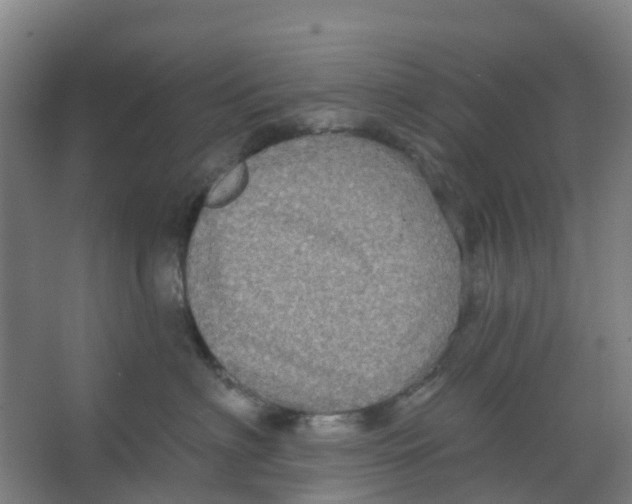 X0000066930622200604141959