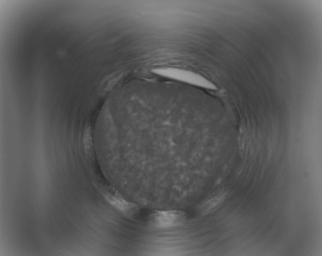 X0000066930623200604141959