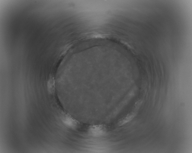 X0000066930624200604141959