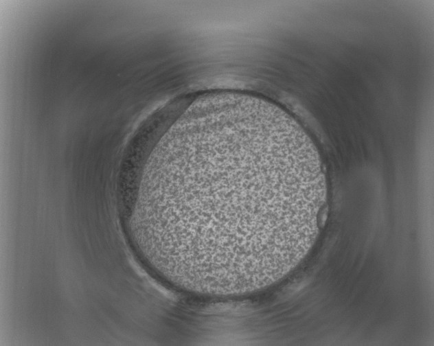 X0000066930625200604141958