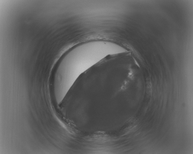 X0000066930626200604141958