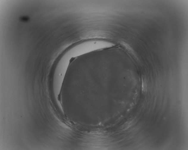 X0000066930627200604141958