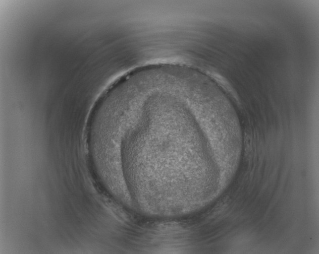 X0000066930628200604141958