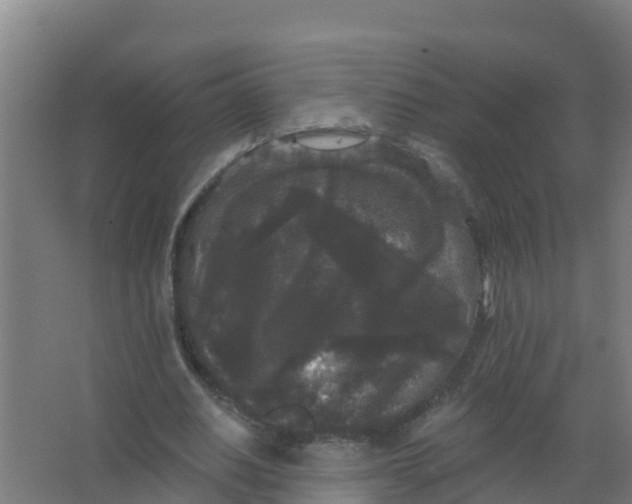 X0000066930630200604141958