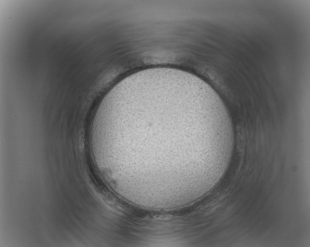 X0000066930631200604141958