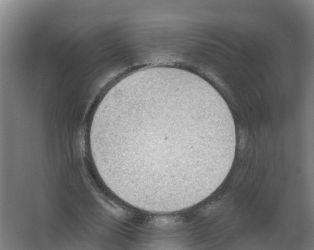 X0000066930632200604141958