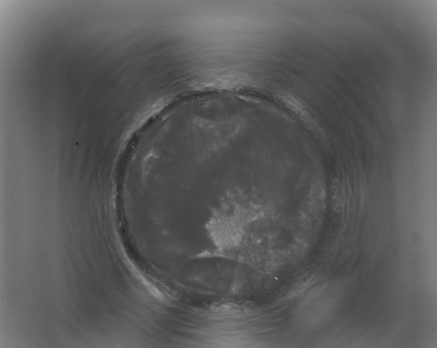 X0000066930634200604141959