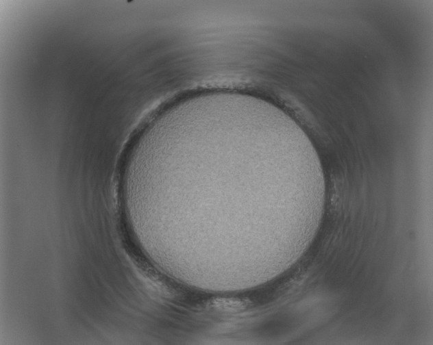 X0000066930636200604141959