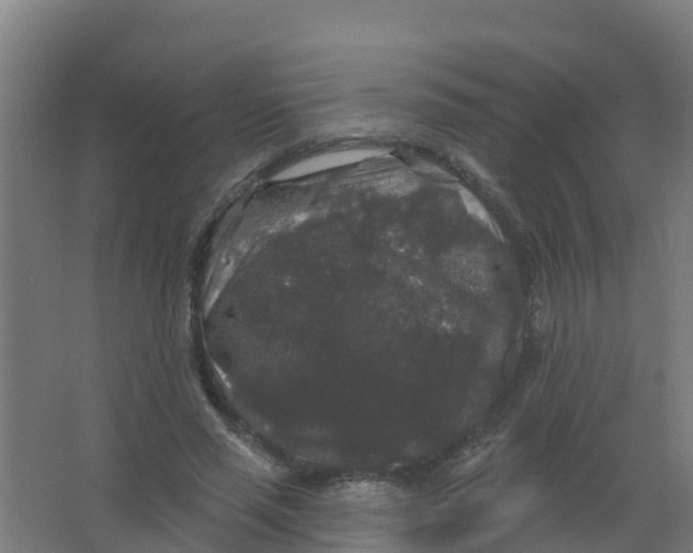 X0000066930637200604141959