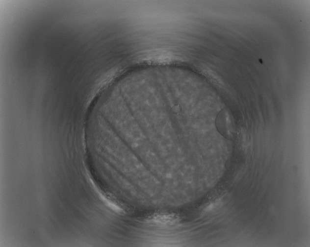 X0000066930638200604141959