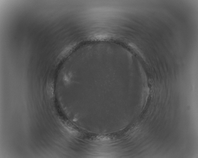 X0000066930640200604141959