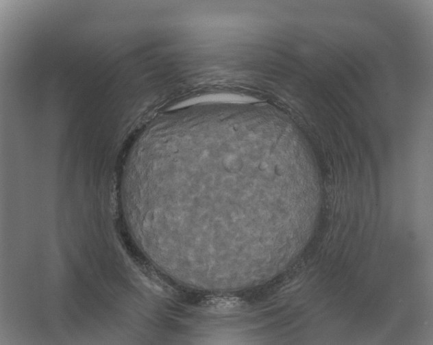 X0000066930642200604141959