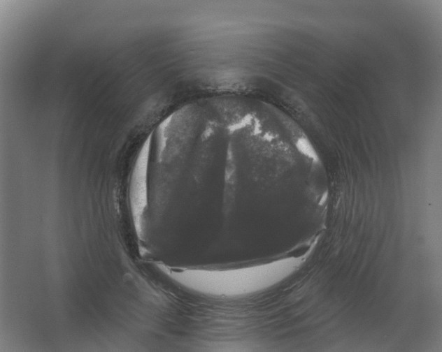 X0000066930643200604141959