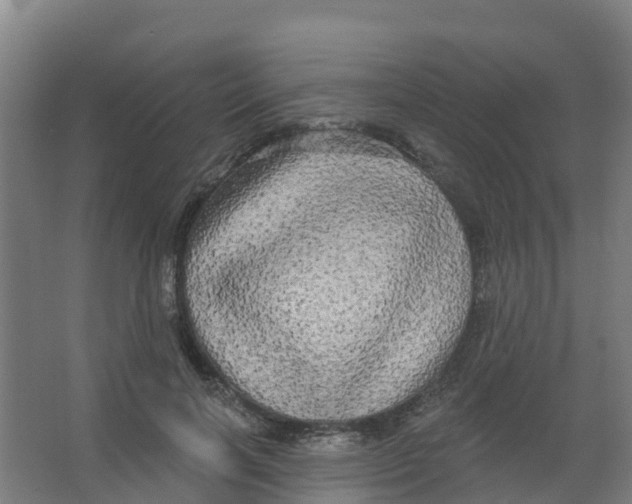 X0000066930646200604141959