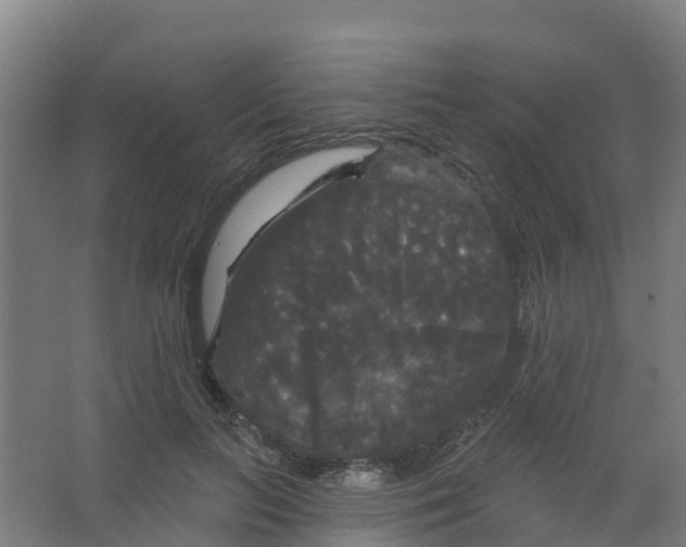 X0000066930647200604141959