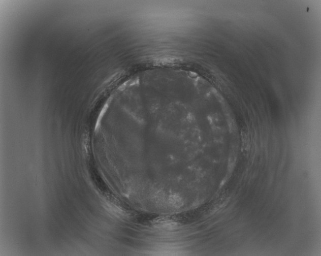 X0000066930648200604141959