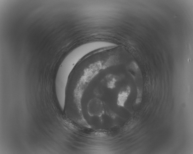 X0000066930649200604141959