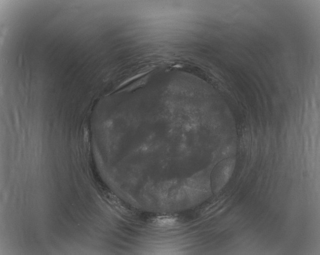 X0000066930651200604141959