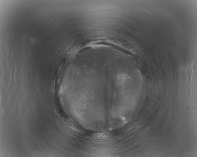 X0000066930652200604141959